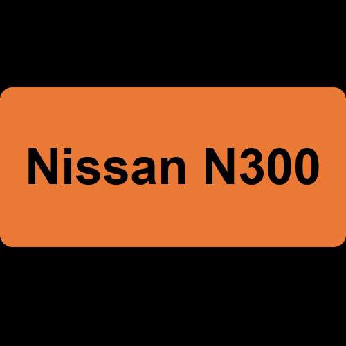 Nissan N300